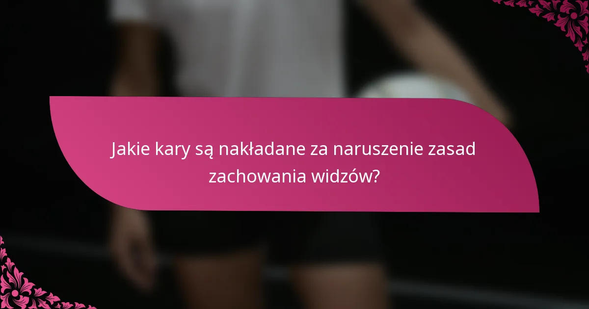 Jakie kary są nakładane za naruszenie zasad zachowania widzów?